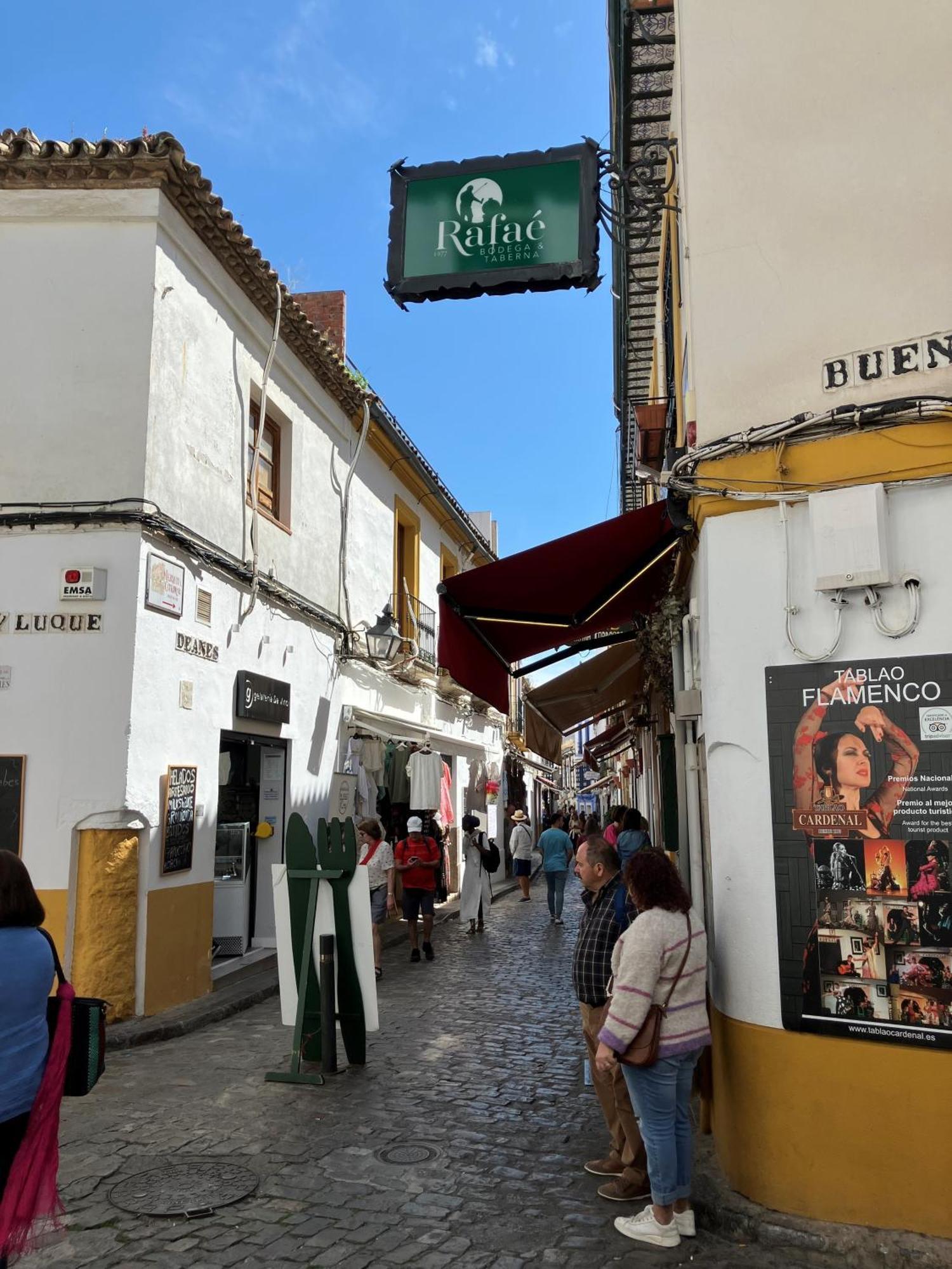 Precioso Apartamento Junto A La Mezquita Cordoba Luaran gambar
